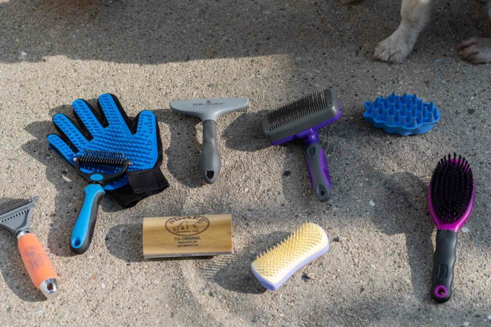 Dog shedding brushes tested on long and short coats